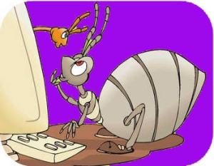 Bug Typing